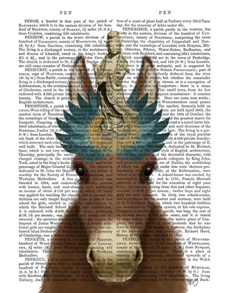 Picture of DONKEY BODHISATTVA BOOK PRINT