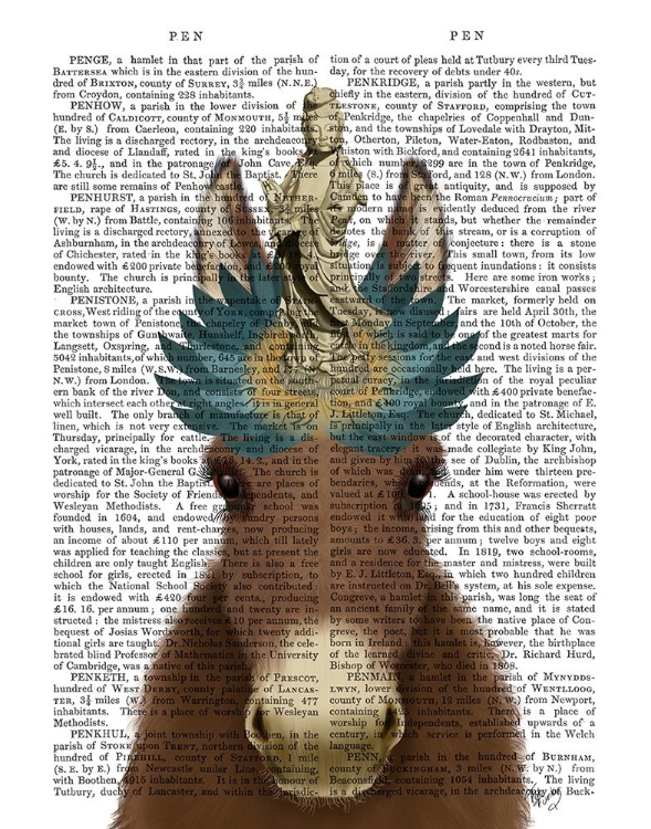 Picture of DONKEY BODHISATTVA BOOK PRINT