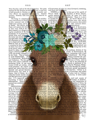 Picture of DONKEY BOHEMIAN 3 BOOK PRINT
