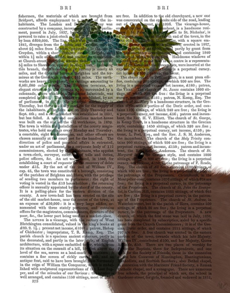 Picture of DONKEY SUCCULENT BOOK PRINT