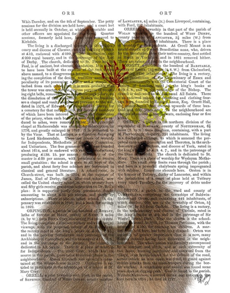 Picture of DONKEY SUNFLOWER BOOK PRINT