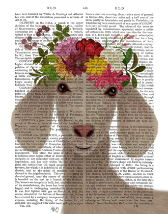 Picture of GOAT BOHEMIAN 2 BOOK PRINT
