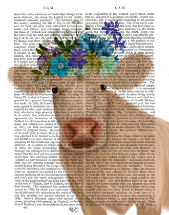 Picture of COW CREAM BOHEMIAN 2 BOOK PRINT