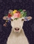Picture of GOAT BOHEMIAN 1