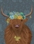Picture of HIGHLAND COW BOHEMIAN 1