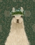 Picture of LLAMA BOHEMIAN 1