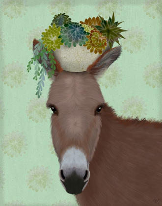 Picture of DONKEY SUCCULENT