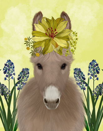 Picture of DONKEY SUNFLOWER