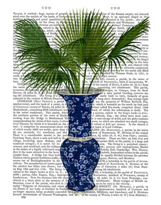 Picture of CHINOISERIE VASE 8, WITH PLANT BOOK PRINT