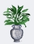 Picture of CHINOISERIE VASE 2, WITH PLANT