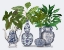 Picture of CHINOISERIE VASE GROUP 2