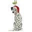 Picture of CHRISTMAS DES - DALMATIAN MISTLETOE