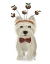 Picture of CHRISTMAS DES - WESTIE AND CHRISTMAS PUDS