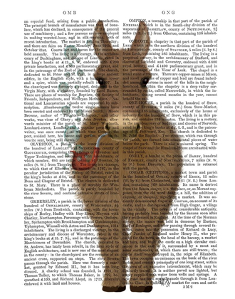 Picture of DONKEY BUBBLE PIPE, FULL BOOK PRINT