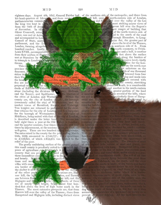 Picture of DONKEY CARROT HAT BOOK PRINT