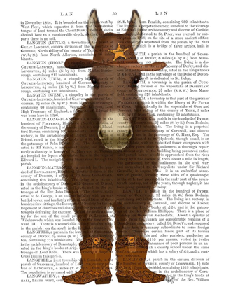 Picture of DONKEY COWBOY BOOK PRINT