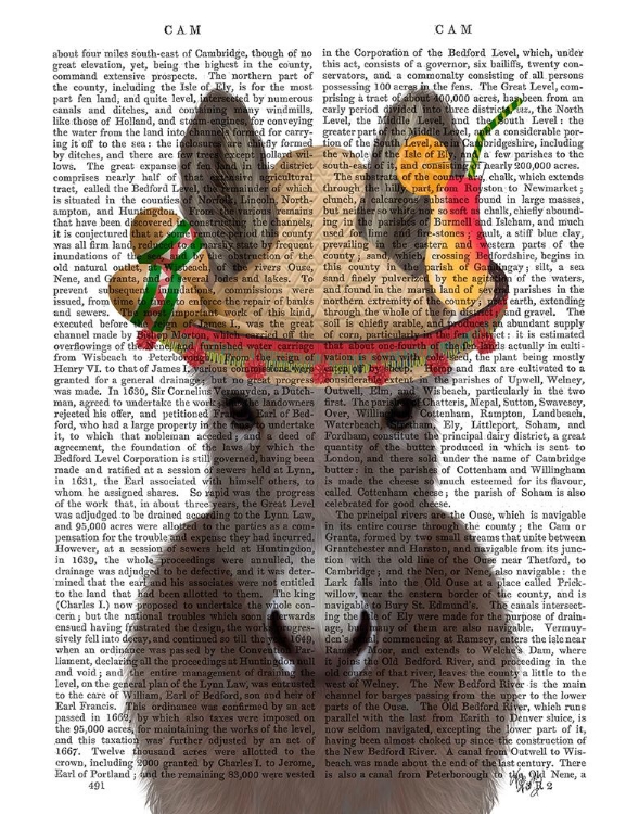 Picture of DONKEY SOMBRERO BOOK PRINT