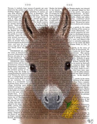 Picture of DONKEY YELLOW FLOWER BOOK PRINT