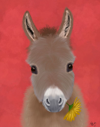 Picture of DONKEY YELLOW FLOWER