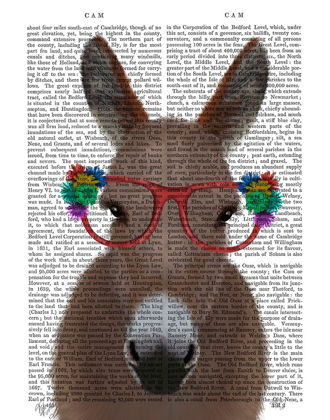 Picture of DONKEY RED FLOWER GLASSES BOOK PRINT