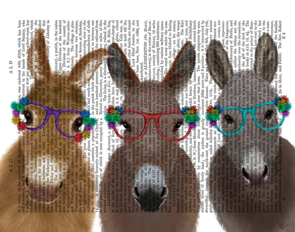 Picture of DONKEY TRIO FLOWER GLASSES BOOK PRINT