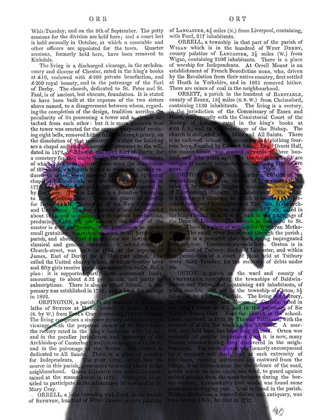 Picture of BLACK LABRADOR AND FLOWER GLASSES BOOK PRINT