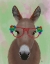 Picture of DONKEY RED FLOWER GLASSES