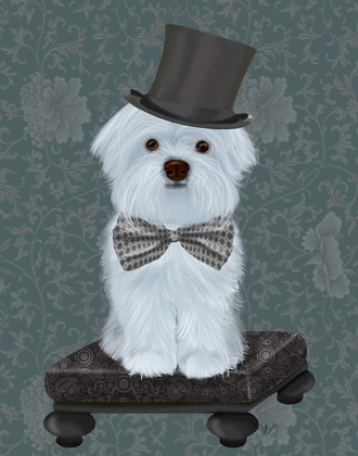 Picture of MALTESE WITH TOP HAT
