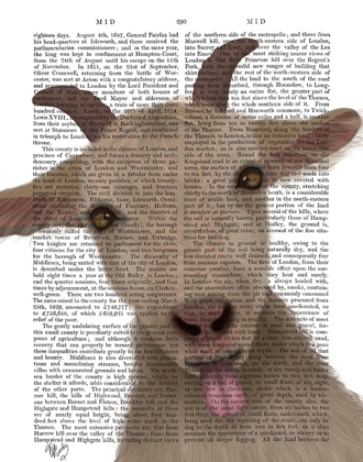 Picture of FUNNY FARM GOAT 2 BOOK PRINT