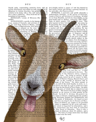 Picture of FUNNY FARM GOAT 3 BOOK PRINT