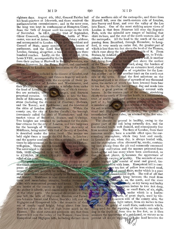 Picture of GOAT AND BLUEBELLS BOOK PRINT