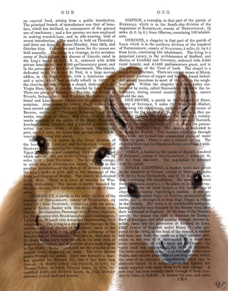 Picture of DONKEY DUO, LOOKING AT YOU BOOK PRINT