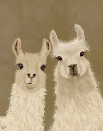 Picture of LLAMA DUO, LOOKING AT YOU
