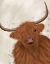 Picture of HIGHLAND COW 1, PORTRAIT