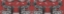 Picture of LIVORIS FERITAS ZEBRA DESIGN, WHOLE