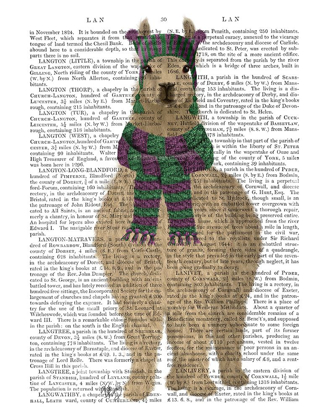 Picture of LLAMA WITH PURPLE SCARF, FULL BOOK PRINT