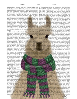 Picture of LLAMA WITH PURPLE SCARF, PORTRAIT BOOK PRINT