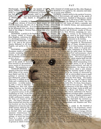Picture of LLAMA AND BIRDCAGE BOOK PRINT