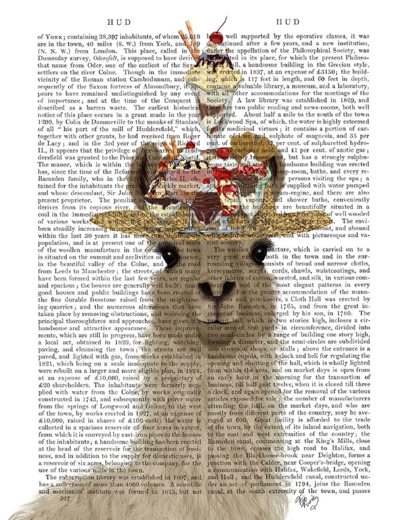 Picture of LLAMA ICE CREAM HAT BOOK PRINT