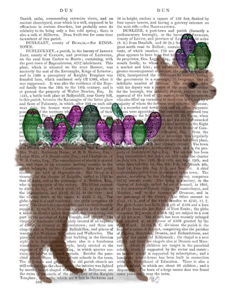 Picture of LLAMA OWLS, FULL BOOK PRINT