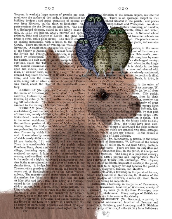 Picture of LLAMA OWLS, PORTRAIT BOOK PRINT