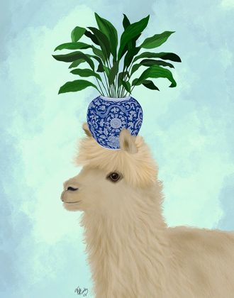 Picture of LLAMA ASPIDISTRA