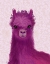 Picture of LLAMA PURPLE MEADOW FLOWERS