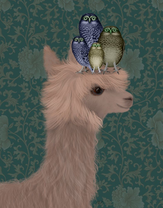 Picture of LLAMA OWLS, PORTRAIT