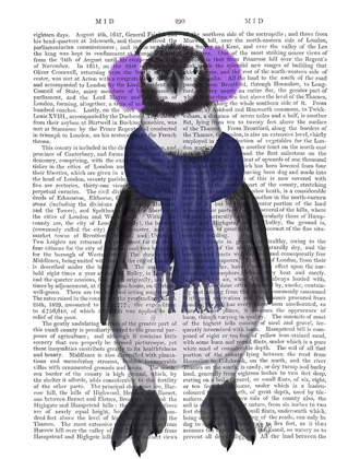 Picture of PENGUIN EAR MUFFS BOOK PRINT