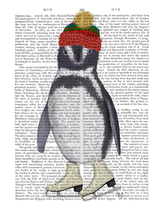Picture of PENGUIN ICE SKATING BOOK PRINT