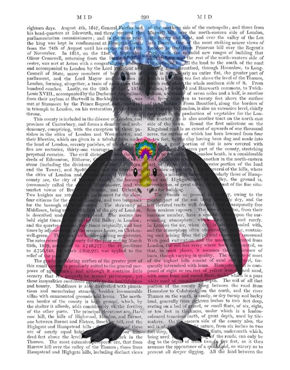 Picture of PENGUIN UNICORN RUBBER RING BOOK PRINT