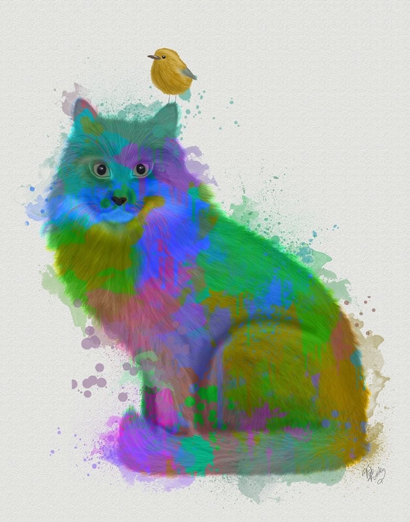 Picture of CAT RAINBOW SPLASH 12