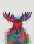 Picture of MOOSE RAINBOW SPLASH