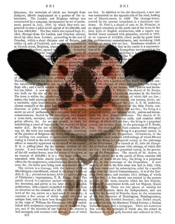 Picture of NOSEY COW 1 BOOK PRINT